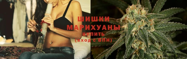 шишки Алзамай