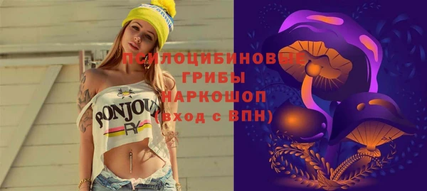 шишки Алзамай