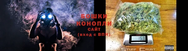шишки Алзамай