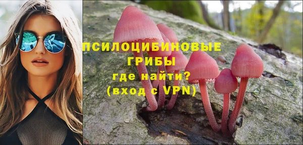 шишки Алзамай