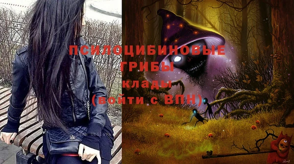 шишки Алзамай