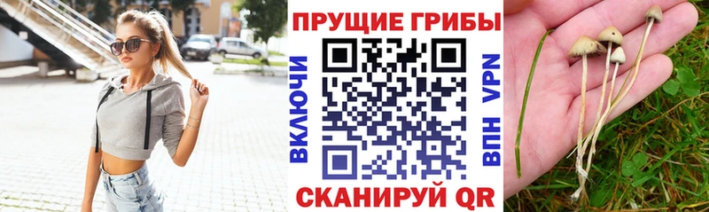 Псилоцибиновые грибы ЛСД  хочу наркоту  Калязин 